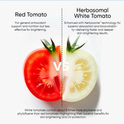 Comparison of red and Herbosomal white tomato for skin brightening and antioxidant support.